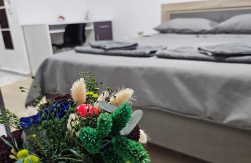 Pitesti Apartment | A place that feels like home away from home - Tony's Studios Comfort