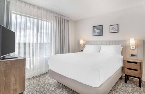 Downtown San Antonio Hotel | A Place You'll Surely Enjoy! Short Drive to Elmendorf Lake Park, Pet-Friendly