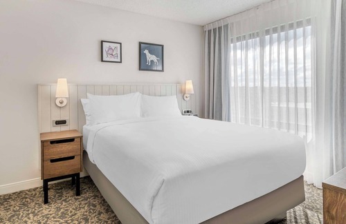 Downtown San Antonio Hotel | A Place You'll Surely Enjoy! Short Drive to Elmendorf Lake Park, Pet-Friendly