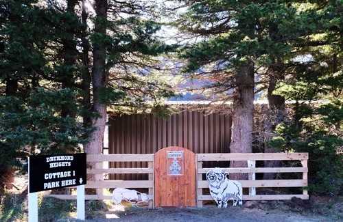 Cass Cabin | A quite gateway in the mountain! Cass cottage 1 - Lake Pearson, Authur's Pass