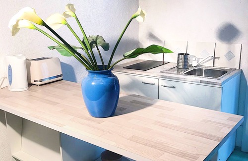 Montferrier-sur-Lez Villa | a spacious and comfortable villa on 3 levels ideal for two families
