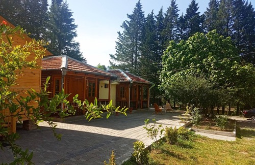 Tsqaltubo Cottage | A unique place in Kutaisi.