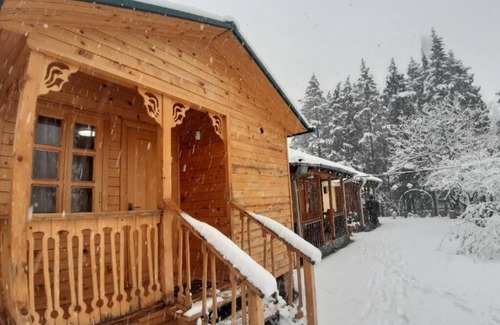 Tsqaltubo Cottage | A unique place in Kutaisi.