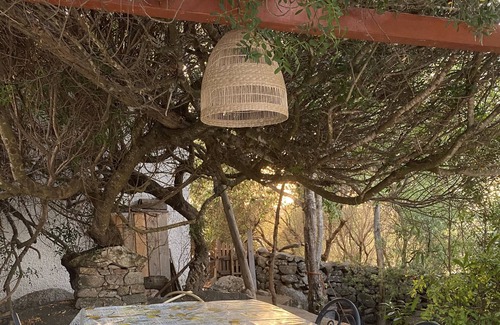 Santa Teresa di Gallura House | A villa with garden for 4 People
