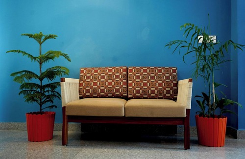 Naldehra Bed & Breakfast | Aagaman- Your Mountain Home