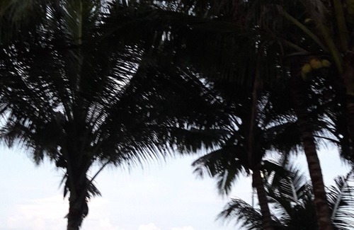 Hamtic Cottage | Absolute Beachfront self-contained 2-BR Cottage with breathtaking views.