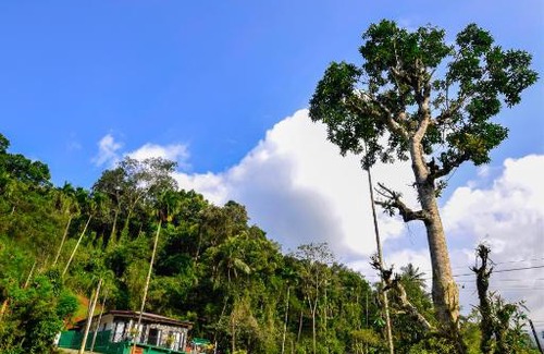 Rattota Resort | ACH RIVER RESORT