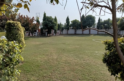 Gurugram Other | Achal's जंगल में मंगल