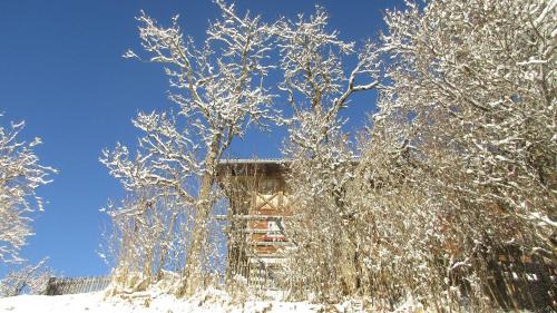 Achenkirch House | Achentaler Bauernhäusl