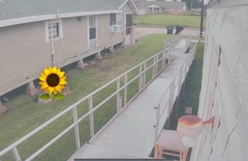 Houma House | Acklen’s Diamond in the Ruff