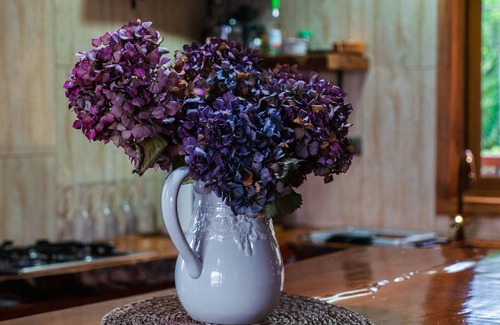 Puerto Montt Cabin | Acogedora Cabaña con Vista al Mar Para Disfrutar del Sur de Chile
