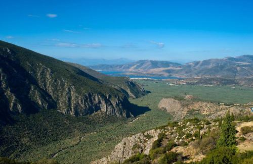 Delphi Hotel | Acropole Delphi City Hotel