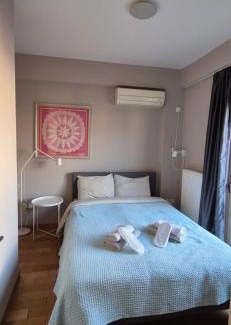 Athens City Centre Apartment | "AcroPool" Penthouse with Private Pool & Acropolis View