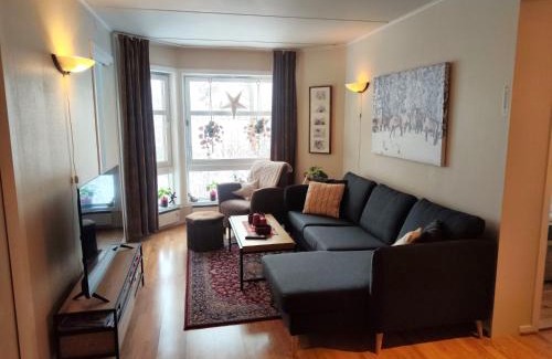 Al House | Actif 329 - apartment by Ål skisenter