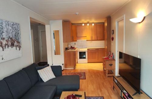 Al House | Actif 329 - apartment by Ål skisenter