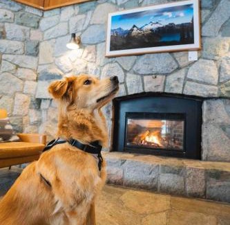 Whistler Village Hotel | Adara Hotel