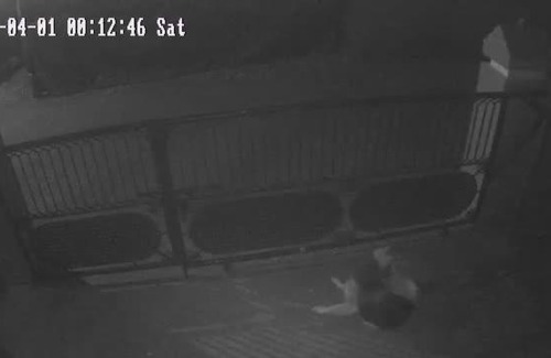 Thrissur House | Adarsh Villas