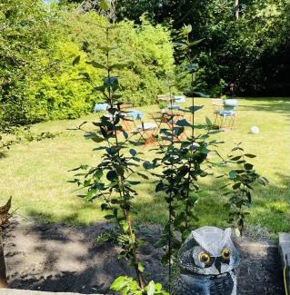 Aalborg Apartment | aday - Aalborg mansion - Open bright apartment with garden