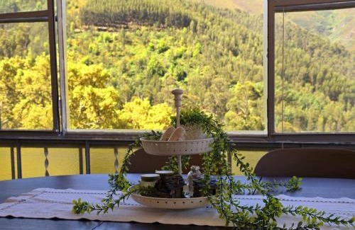 Arganil House | Adcasinha em Arganil