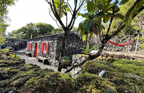 Sao Roque do Pico Ski Chalet | Adega Baía Azul - The essence of Pico