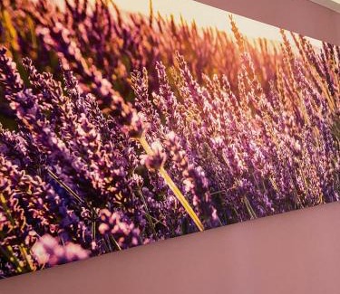 Camerano House | Affittacamere Le Grotte - Le Grotte Rooms & Apartments