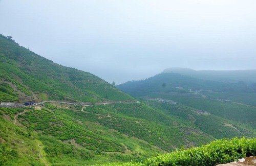 Valparai Cabin | AGB Jungle Resort