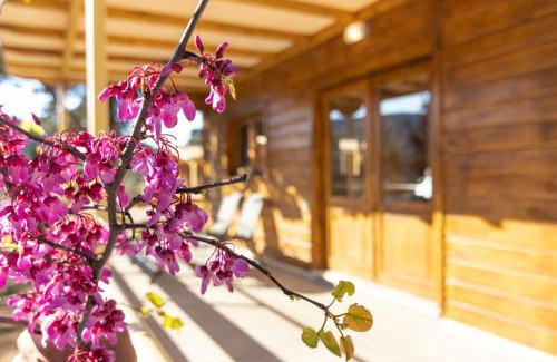 Dragano Apartment | agrelia homes 2