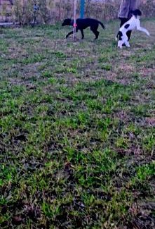 Santa Lucia ai Monti Other | Agricampeggio AL CIELO STELLATO