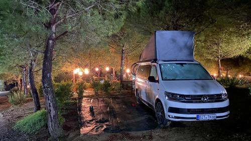 Certaldo Other | AGRiCAMPiNG POGGiO Ai PiNi WiNE CAMPiNG