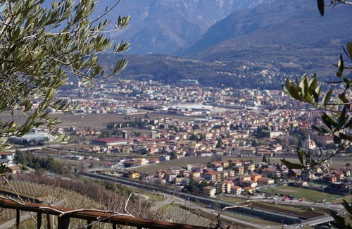 Isera Other | Agritur Maso Carpené