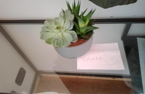 San Biagio di Callalta House | Agriturismo Natura Salute