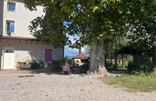Pescantina Apartment | Agriturismo Corte Bonetti - Appartamento Il Platano
