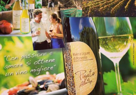 Bastia House | Agriturismo del Pigato - Bio Vio
