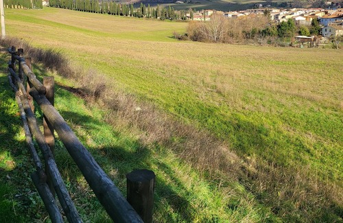 Galliano Other | Agriturismo Poggio di Sotto