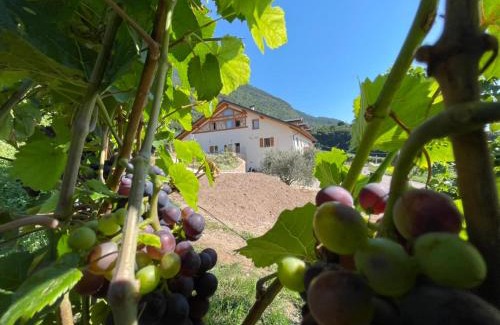 Giovo House | Agriturismo Maso San Valentino