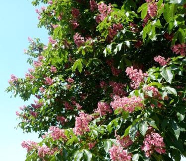 Argelato House | Agriturismo la Torre