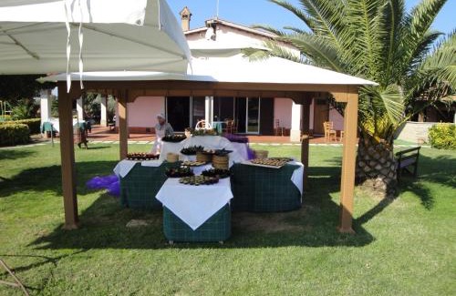 Cerveteri House | Agriturismo La Valle Di Ceri