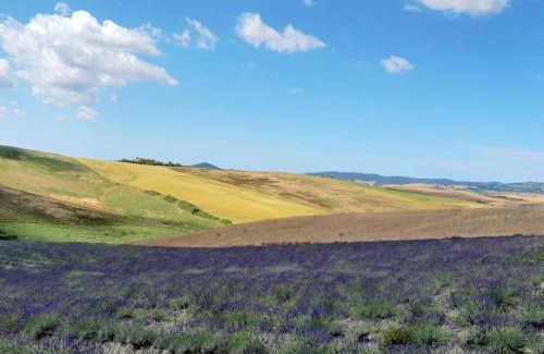 Santa Luce House | Agriturismo Mandriato