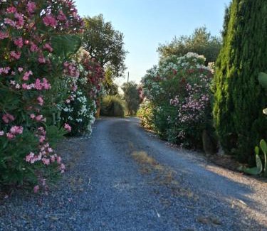 Magliano in Toscana House | Agriturismo Podere 329