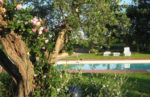 Cinigiano House | Agriturismo Poderino