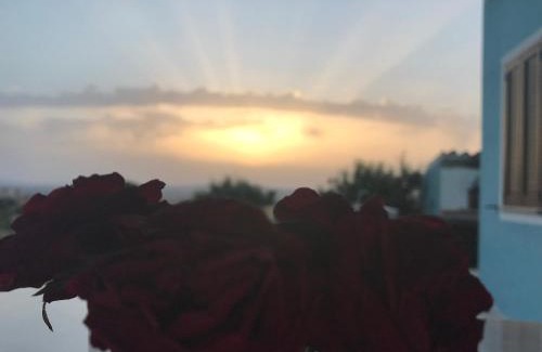 Ozieri House | Agriturismo Sa Domo de s'Olia