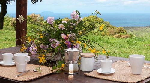 Rosignano Marittimo House | Agriturismo San Quirico