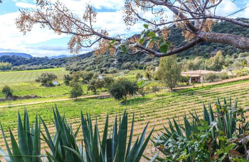 Bari Sardo House | Agriturismo Su Solianu