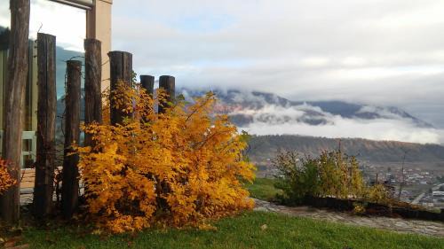 Calceranica al Lago House | Agriturismo Verdecrudo