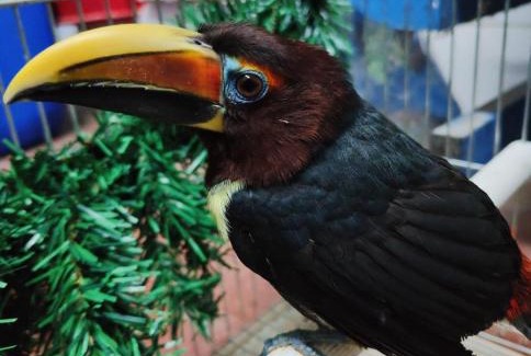 Bivio Lugnano House | Agriturismo Villa Paradiso Esotico