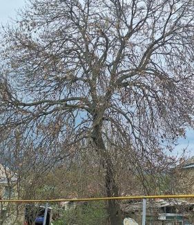 Tsalka House | Agro House Mezge - აგროსახლი მეზგე