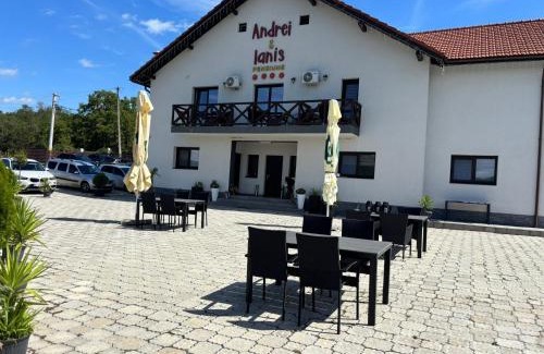 Daesti House | Agropensiunea Andrei & Ianis