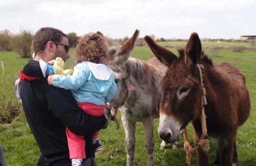 Cabanillas del Monte House | Agroturismo El Mirador de la Cigüeña