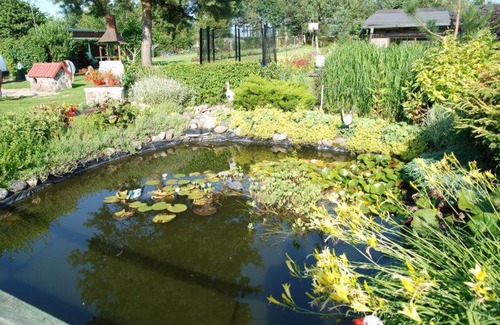 Czarna Dabrowka Apartment | Agroturystyka Maria i Jan Bryjka