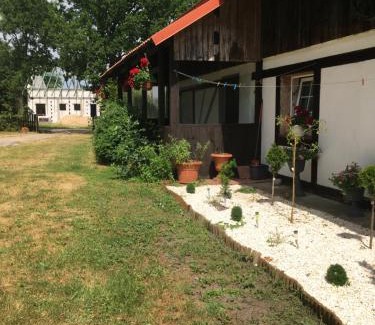 Kluki House | Agroturystyka Pod Dębami w Klukach